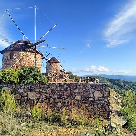 Moinho Da Alfazema *