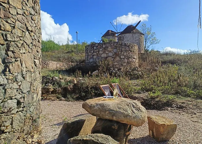 Moinho Da Alfazema Alojamento de Turismo Selvagem Penacova