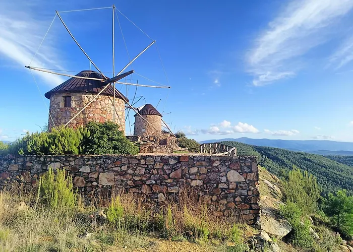 Moinho Da Alfazema *