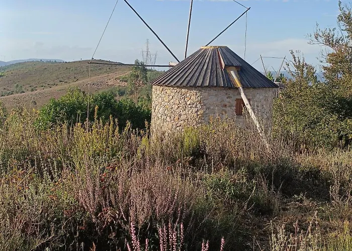 Moinho Da Alfazema Alojamento de Turismo Selvagem Penacova